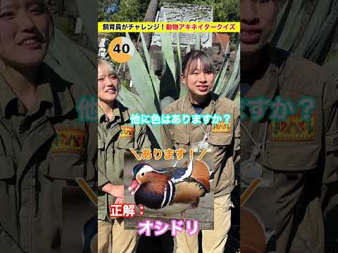 バード班が挑戦！プロは動物を当てられるのか？🦜 サムネイル