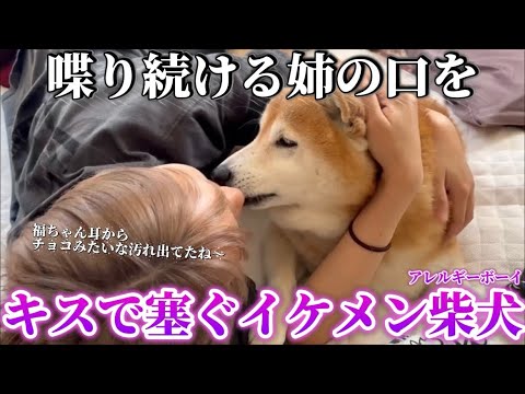 柴犬福 喋り続ける姉の口をキスで塞ぐ柴犬(失敗)-ツンデレ芸🤣Sister and Shiba🤣 サムネイル