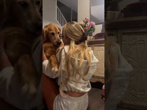 coming home to my golden retriever🥵 goldenretreiver dog ind…
