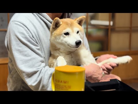 大晦日の夜　New Year’s Eve Night サムネイル