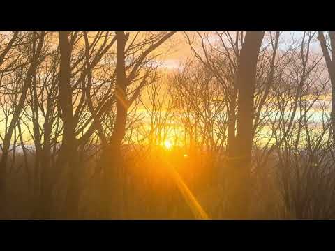 初日の出　那須高原にて　2026年1月1日 サムネイル