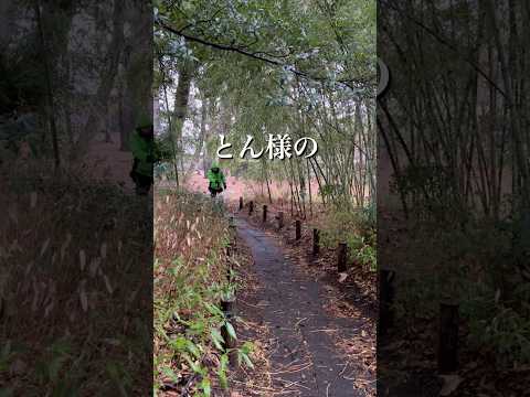 柴犬とん様の御前である、控えぃ、控えぃ、控えおろぉおぉおぉ　柴犬　柴犬とん サムネイル