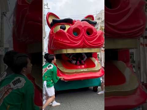 shorts 酒田大獅子　日和　獅子パックン　酒田まつり サムネイル