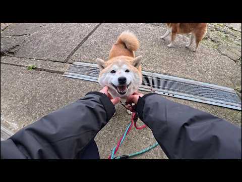 マッサージのお代は笑顔で！ サムネイル