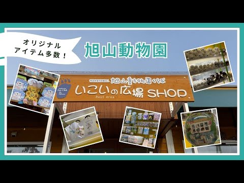 【旭山動物園】いこいの広場SHOP🎁[Asahiyama Zoo] Ikoi Square Shop 🎁 サムネイル