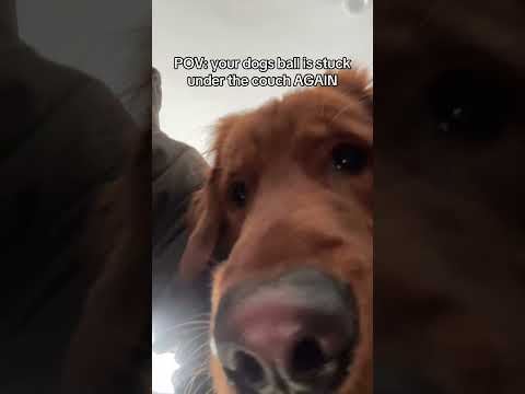 Why does this happen a million times a day..😩 サムネイル