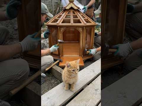 Luxury Cat House Built Step by Step for a Curious Orange Ki… サムネイル