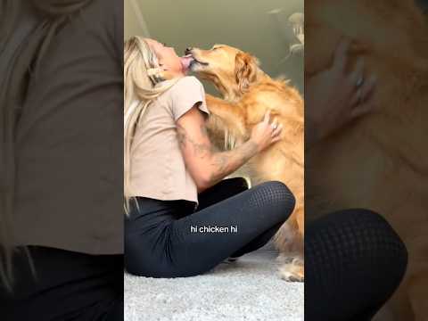 coming home to my golden retriever🥵 goldenretreiver dog ind… サムネイル