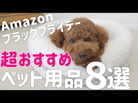 【これは買い！】Amazonブラックフライデーで絶対購入したいペット用品8選 サムネイル