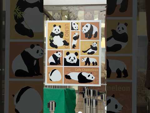 shorts シャオシャオ＆レイレイ 忘れないヨ🥹☺️   上野動物園にて　2026年2月6日 サムネイル