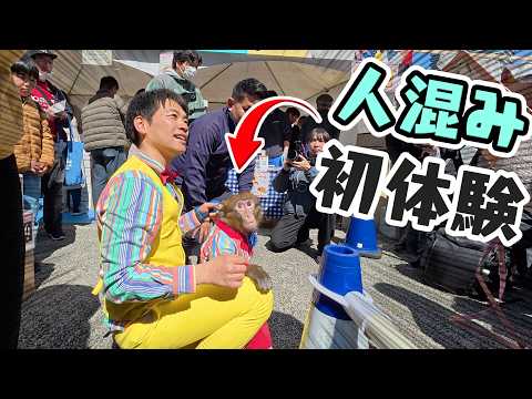 100頭に１頭の逸材…人混みに囲まれたお猿さんの「対応力」がすごすぎる動画