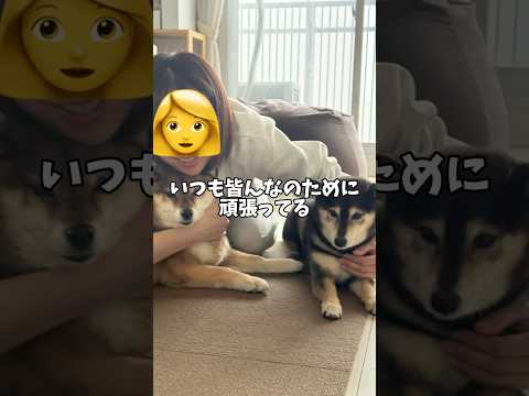 オジサンを全力で起こす🐕黒柴 サムネイル