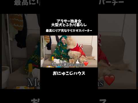 MerryChristmas🎄❤️ ゴールデンレトリバー 大型犬のいる生活 犬と2人暮らし サムネイル