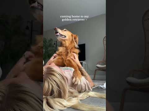 Bikini Try-On Haul 001 :| 4K Transparent Lingerie & See-Thr… サムネイル