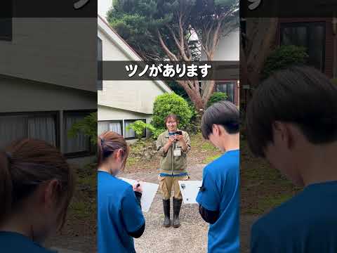 飼育員がチャレンジ💪お絵描き伝言ゲーム🎨