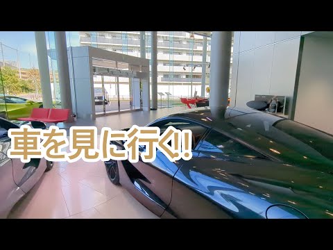 車を見に行く。ゴールデンレトリバーティト サムネイル