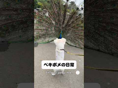 2026年5月18日