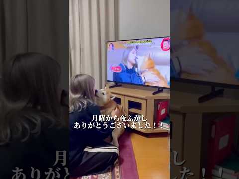 柴犬福 月曜から夜更かしに出演した女ムツゴロウとﾌｸﾁｬｧと福🤣Shiba-TV🤩姉と柴 shorts funny f… サムネイル