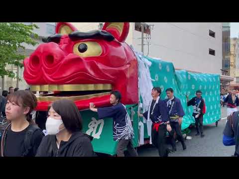 日和ちゃん　酒田大獅子　酒田祭りにて　2026年5月20日 サムネイル