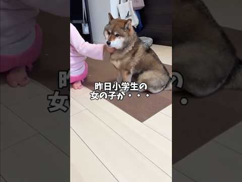 胡麻柴🐕が許せなかったこと・・・ サムネイル