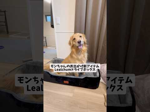 LealchumドライブボックスLealchum リアルチャム ドライブボックス ドライブシート 犬グッズゴールデンレ… サムネイル