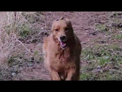 2026年1月24日　「しっかり走れよ。」軽い登りがお腹すく？ サムネイル