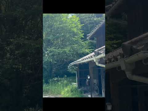 Sunshower サムネイル