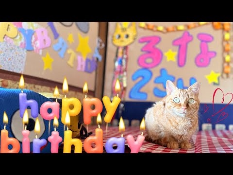 Kawaii ♡ るなのたんじょうび Luna’s Birthday サムネイル