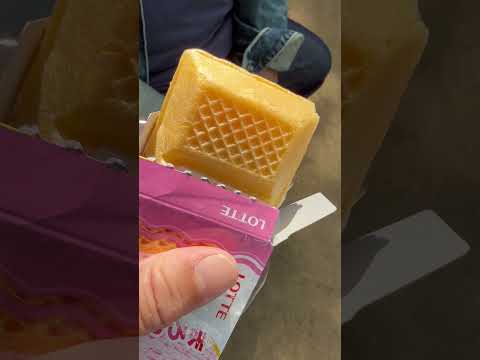 shorts 自販機でモナ王いちごオレ　千葉市動物公園にて　2026年4月18日 サムネイル