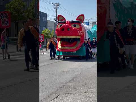 shorts 酒田大獅子　日和　獅子パックン　酒田まつり サムネイル