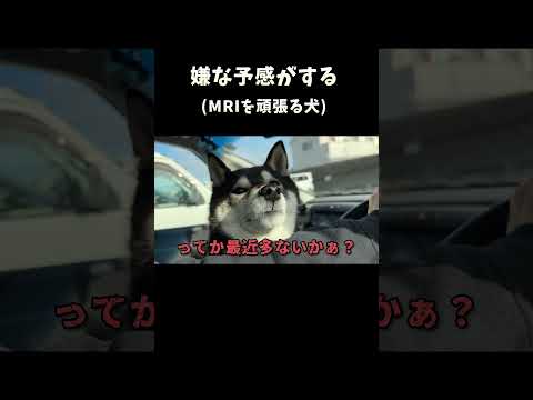 嫌な予感がする サムネイル