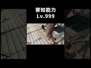 犬動画 | 察知能力LV999【YouTubeおすすめ】