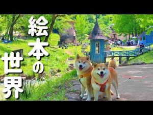 犬動画 | 絵本の世界に遊びに行ったら、柴犬の笑顔が100点でした。埼玉旅行【YouTubeおすすめ】