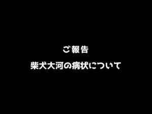 犬動画 | 【ご報告】柴犬大河の病状について【YouTubeおすすめ】