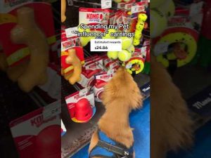 Getting my dog a “Hooman” Sized house 😁 – わんわんパニック