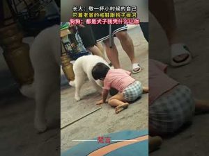 幼い頃の敬一さんと犬の微笑ましい遊び動画｜かわいさ満点の短編 – わんわんパニック