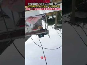 台風接近時の驚きの出来事と人々の反応を紹介 – わんわんパニック