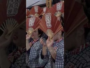 石岡のおまつりとマヌルネコの魅力を動画で楽しむ|楽しい瞬間をお届け – わんわんパニック