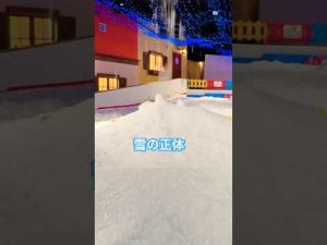 子供と楽しむ雪遊び動画｜雪の降り方と遊び場の様子を短く紹介 – わんわんパニック