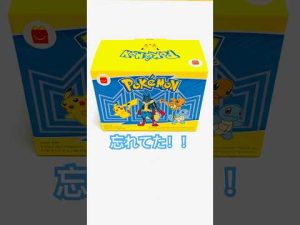 ポケモンハッピーセットを開け忘れた冒険と楽しいピカチュウ登場 – わんわんパニック