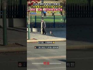 心温まる！爺爺と小犬の優しい散歩風景動画 – わんわんパニック