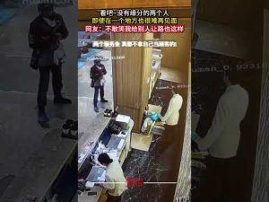 偶然の出会いとすれ違いの笑える瞬間:運命の不思議とハプニング動画 – わんわんパニック